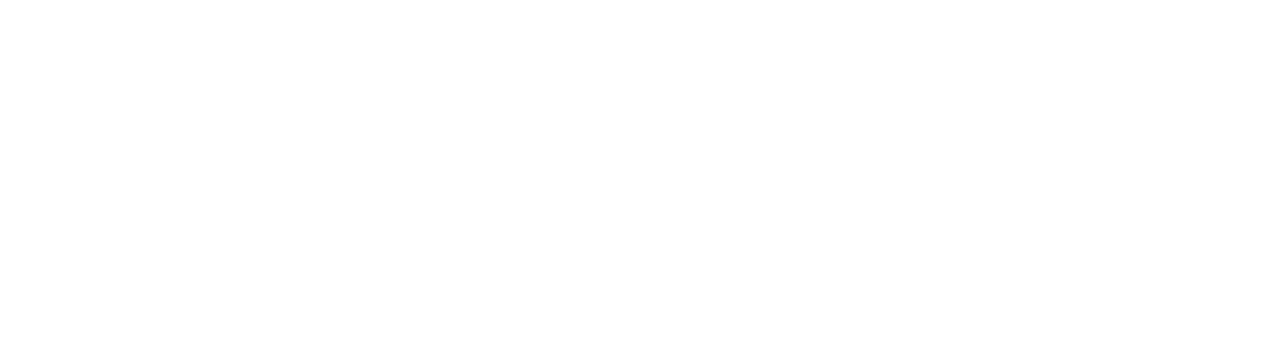 logo farizon