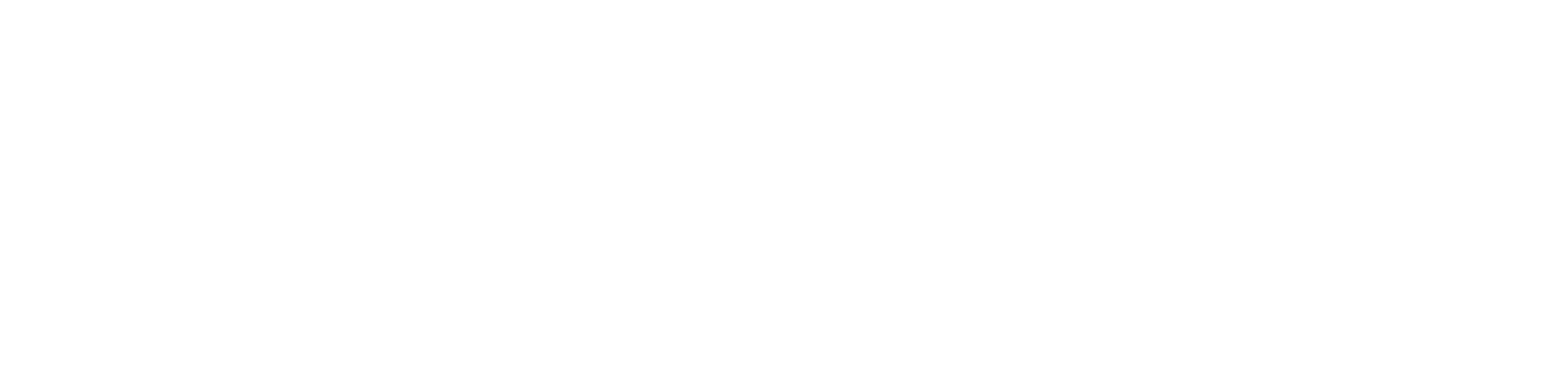 Farizon Singapore